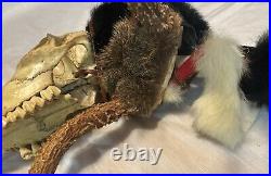 Native American Made Ceremonial/Medicine Stick Deer Skull Antlers Assorted Furs