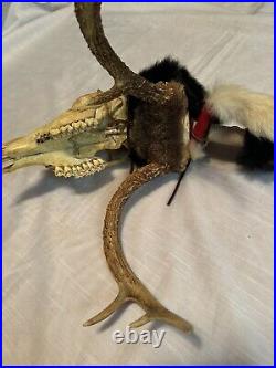 Native American Made Ceremonial/Medicine Stick Deer Skull Antlers Assorted Furs