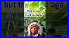 Native American Proverb Shortvideo