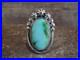 Native American Sterling Silver & Sonoran Turquoise Ring by Benally Size 9