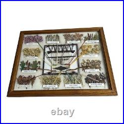 Navajo Dye Chart Made and Signed 15x12