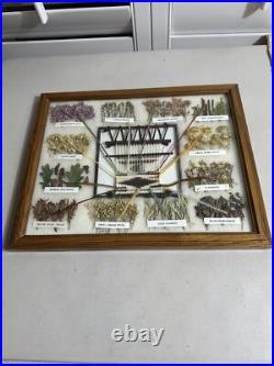 Navajo Dye Chart Made and Signed 15x12