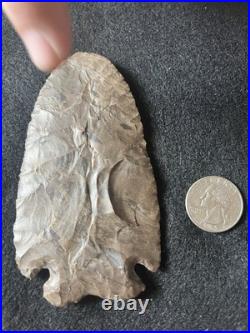 Pre 1600 100% Authentic Native American Indian Artifact Rare Pine tree