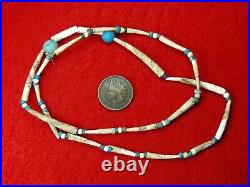 SHELL and TRADE BEAD 20 NECKLACE EX BERG WASHINGTON Authentic Indian Relics
