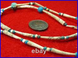 SHELL and TRADE BEAD 20 NECKLACE EX BERG WASHINGTON Authentic Indian Relics