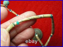 SHELL and TRADE BEAD 20 NECKLACE EX BERG WASHINGTON Authentic Indian Relics