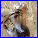 SIGNED American Indian ceremonial Bone, Real Fur, Feathers, Beads, Suede