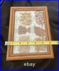 VTG Navajo Medicine Chart Wooden Box Arletta Henderson Native American 8x6x4