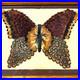 Vintage MCM Norman Peirce Butterfly Feather Folk Art Native American Red Cloud