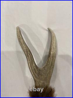 Vintage Native American Ceremonial Antler Stick 24