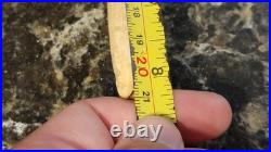 Vintage Native American Maine Whitetail Deer Antler Peace Pipe Standing 8.25