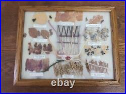 Vintage Native American Navajo Dye Chart with English & Indian Names 10 Color