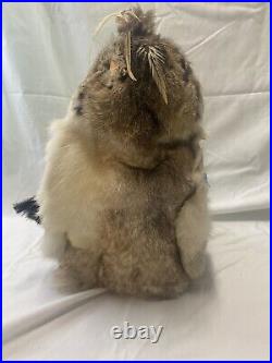 Vintage Native American Porcelin Doll With Real Animal Pelt