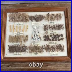 Vintage Navajo Medicine Chart Arletta Henderson Native American Indian 14x11