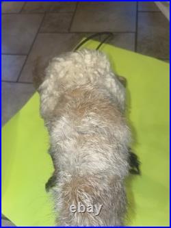 Vintage RARE Native American Ceremonial Medicine Stick Deer Head Moves