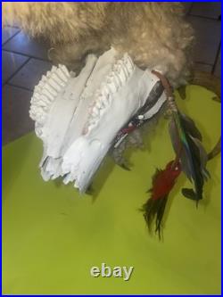 Vintage RARE Native American Ceremonial Medicine Stick Deer Head Moves